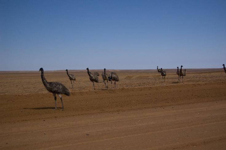 birdsville_1_47 birdsville_1_47