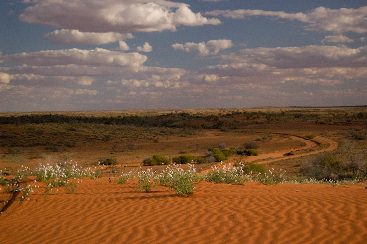 birdsville_1_134