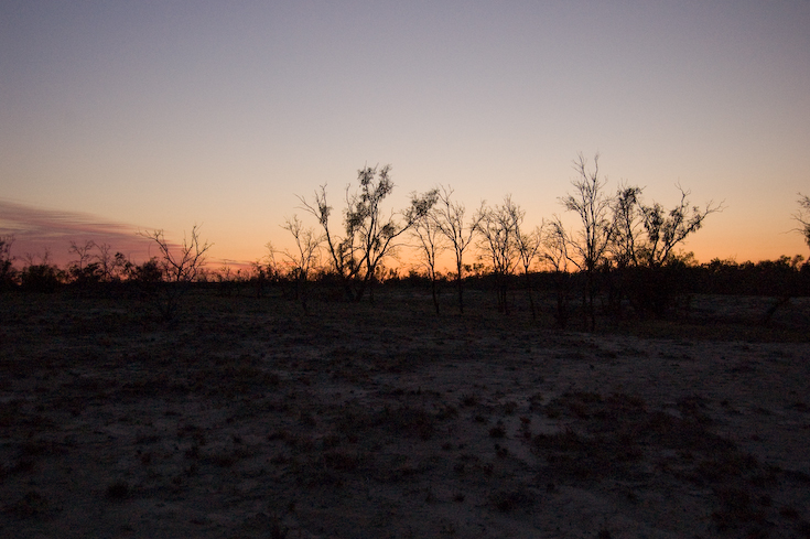 birdsville_1_139