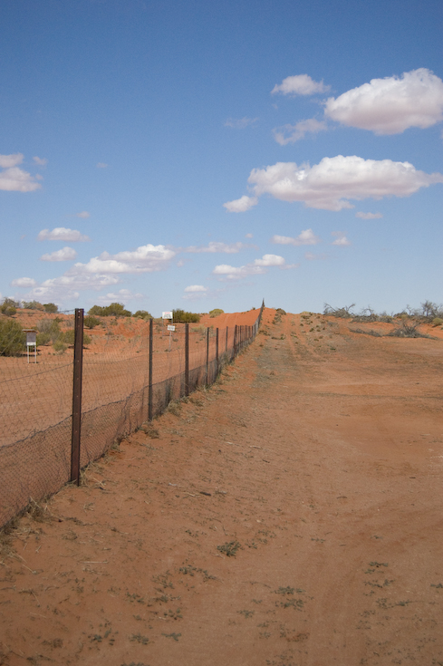 birdsville_1_67