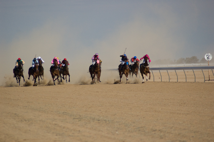 birdsville_1_8