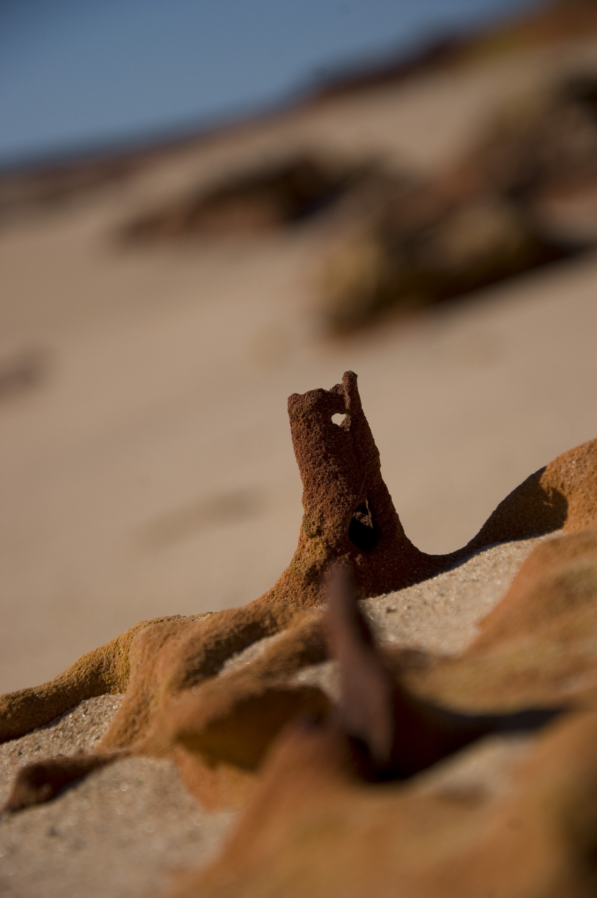 broome_shuttercal_2010-47