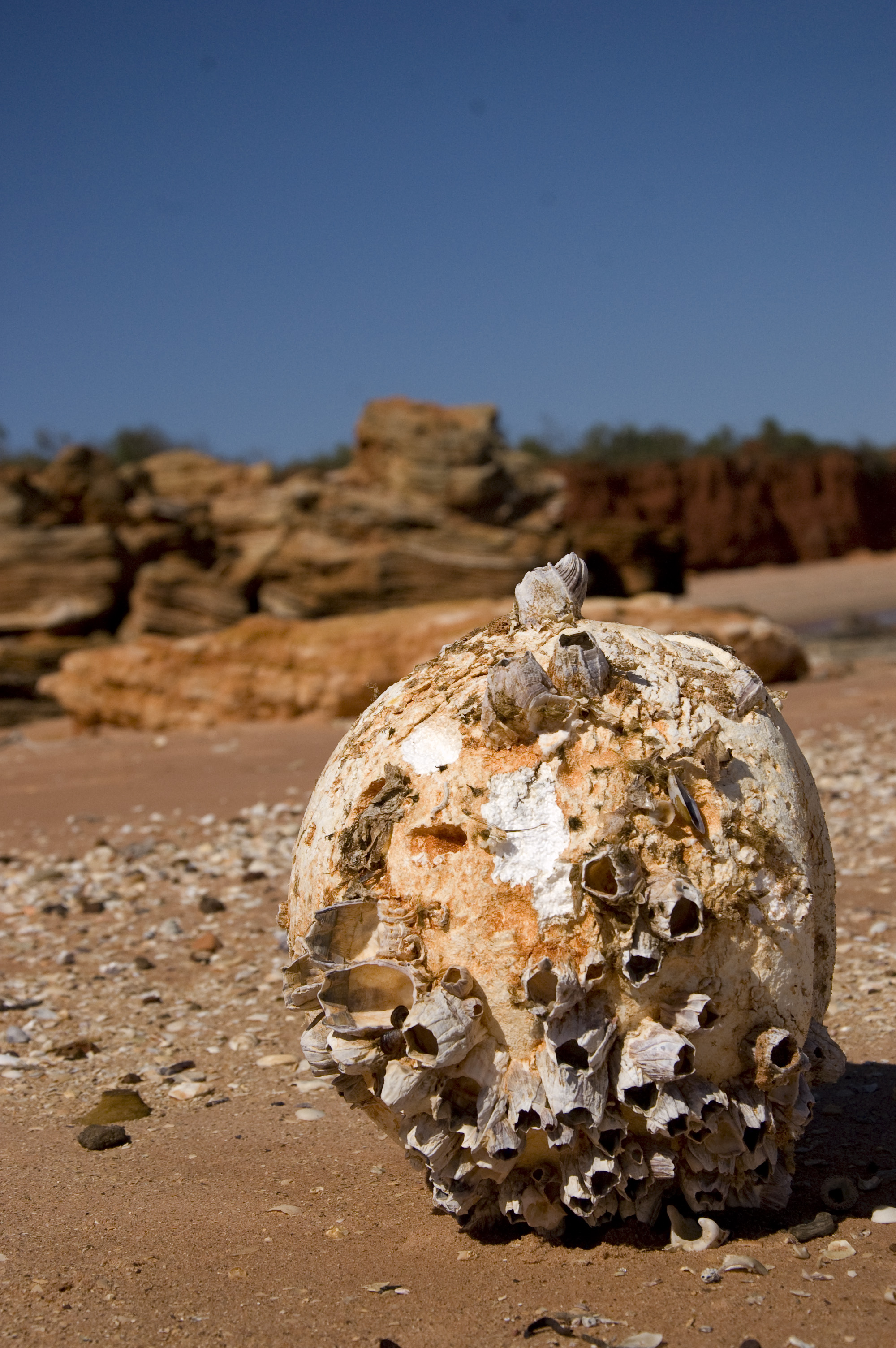 broome_shuttercal_2010-70