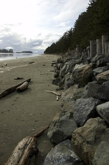 tofino_victoria_12-11